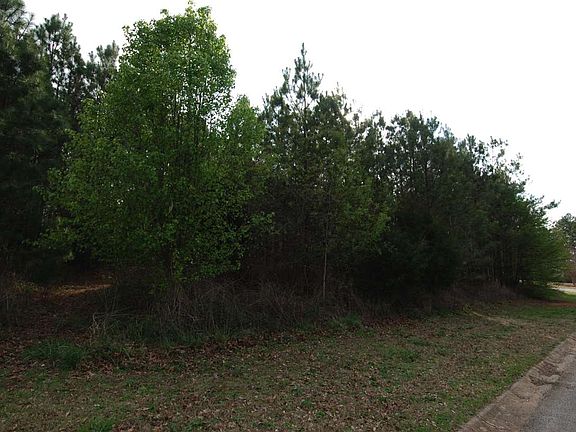 3rd image of 127 Lillie Marie Dr