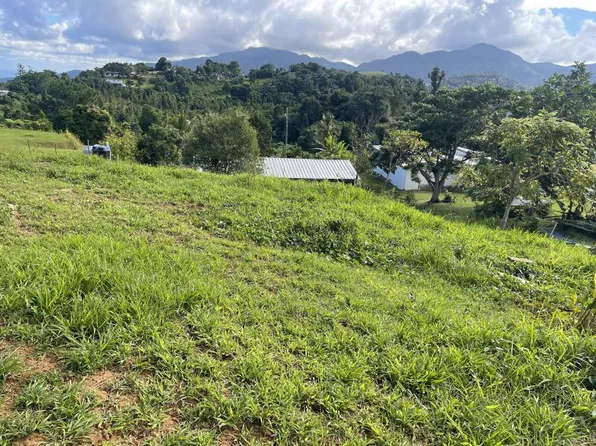 State Highway 9957 Km #.6, Rio Grande, PR 00745