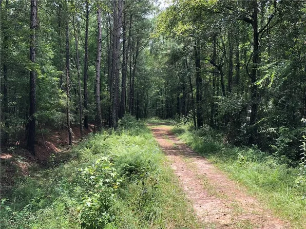 221 Paddock Ln, Brunswick, GA 31523