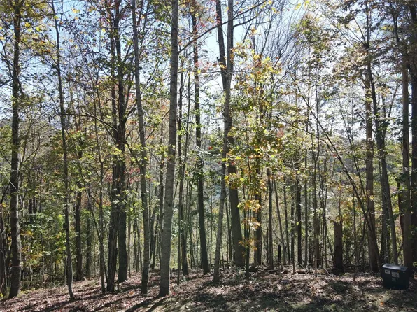 Lot #4 Rendezvous Ridge Road, Cashiers, NC 27265