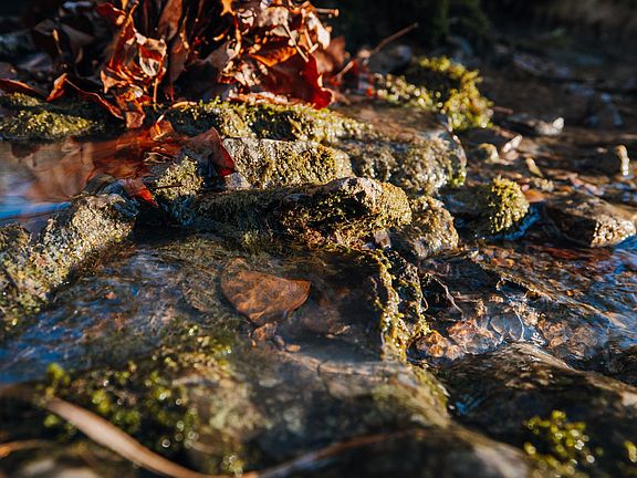 44th image of this home