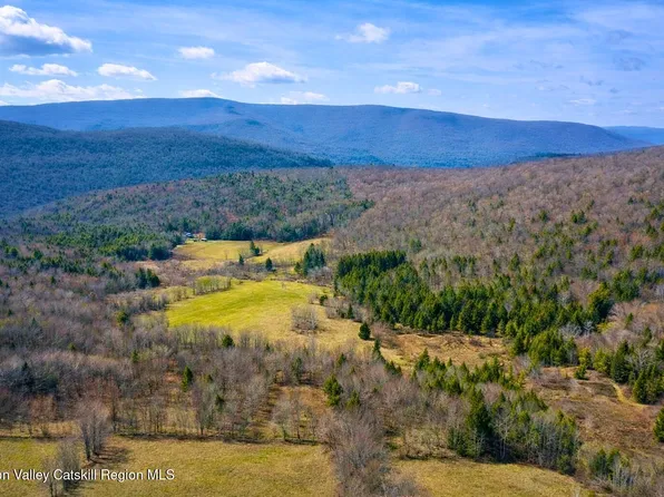 Tbd Hogg Mountain Road, Fleischmanns, NY 12430