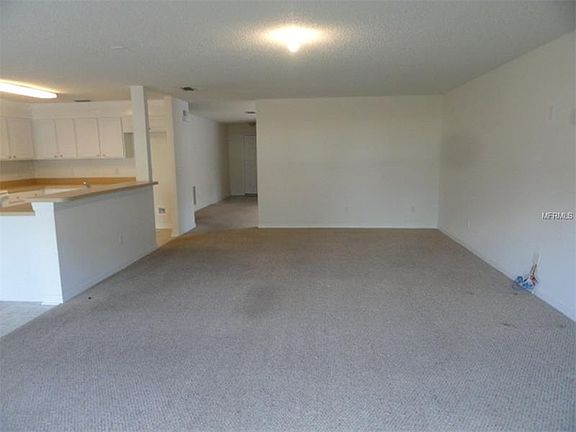 5th image of 1006 Horseshoe Falls Dr