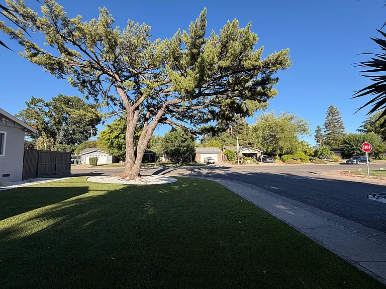front yard