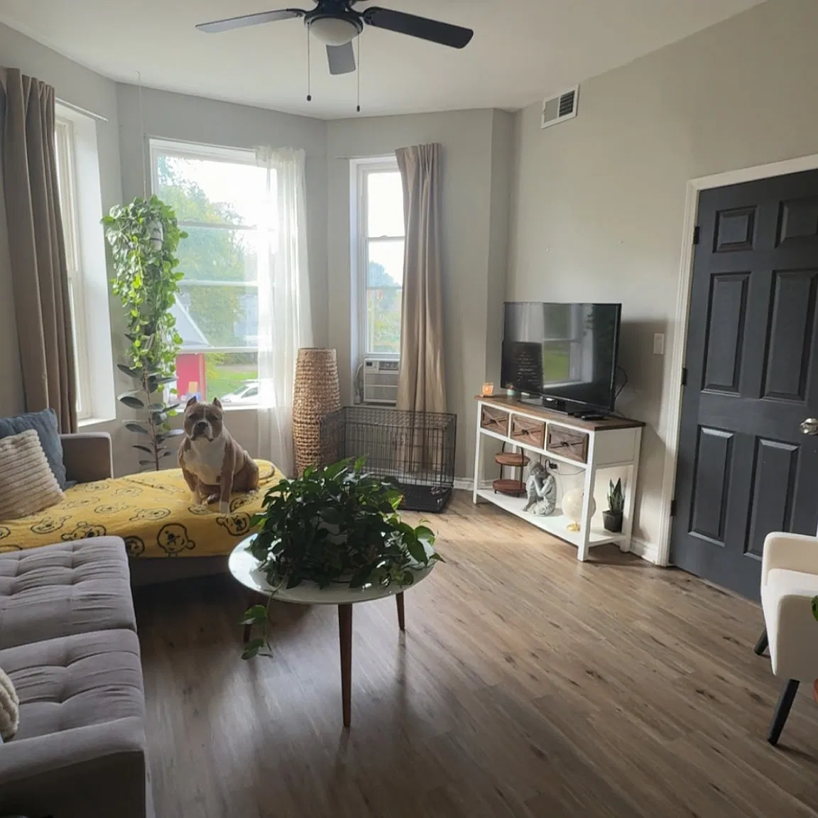 3 bed, 1200 sqft, $1,600 — Photo 1