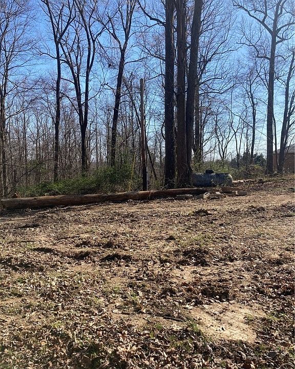 2nd image of  Tract #2 E Pilot Knob Road