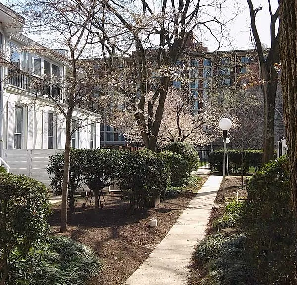 745 Delaware Ave SW #2 — Photo 2