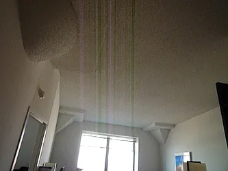 Rented by Bien Realty Ltd