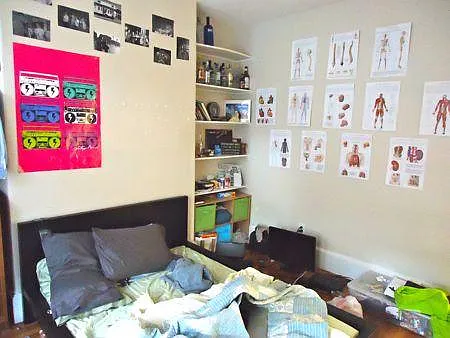2 bed, 800 sqft, $3,800 — Photo 2