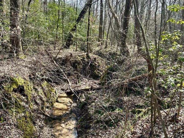 0 Hines Gin Rd, Selmer, TN 38375