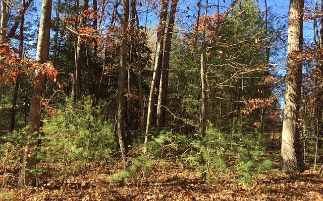 1st image of 8 Harold Ln