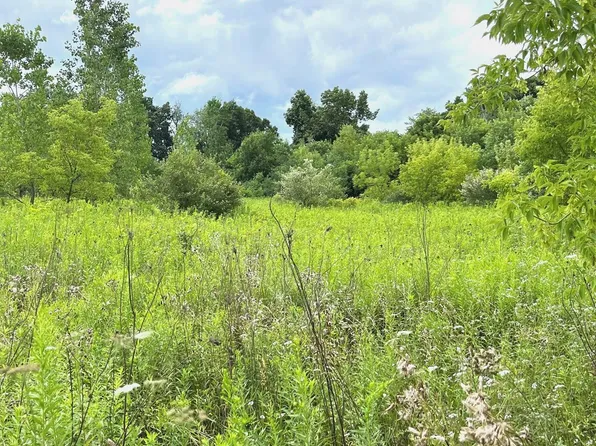 0 Mack Rd, Howell, MI 48855
