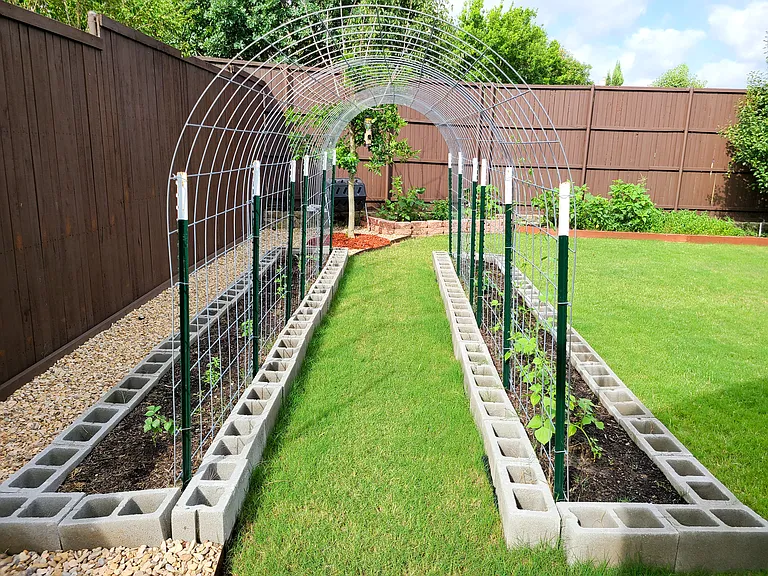 Backyard 1b
