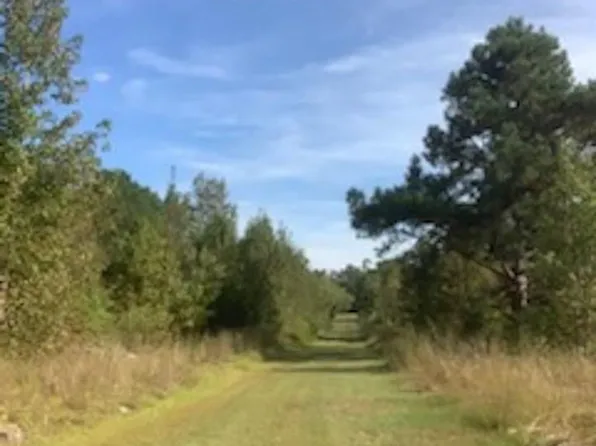 Vicksburg Dr, Hamer, SC 29547