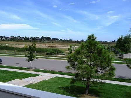 View from patio