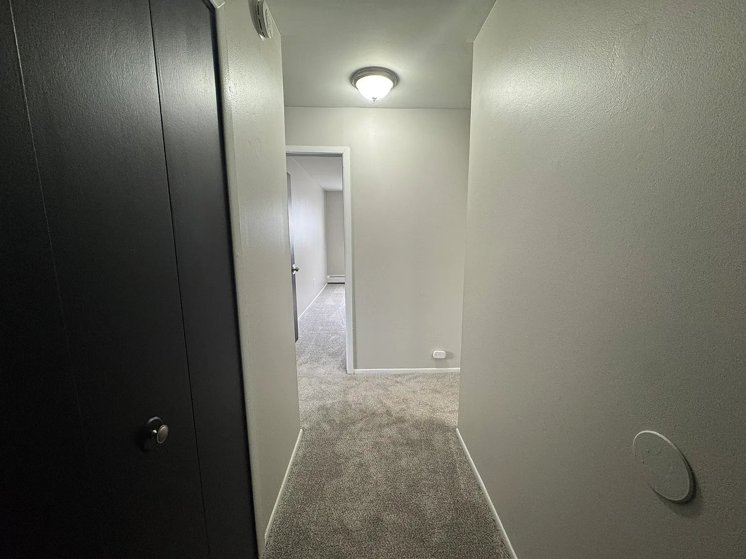 249 Chestnut St — Photo 3
