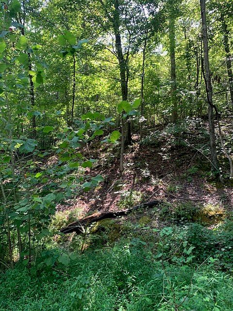 2nd image of Na Cypress Creek Rd