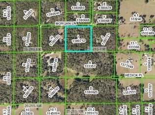 15176 Morgan Ln, Brooksville, FL 34601