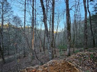 3409 N Flagpole Rd, Ellijay, GA 30540