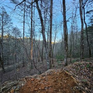 3409 N Flagpole Rd, Ellijay, GA, 30540