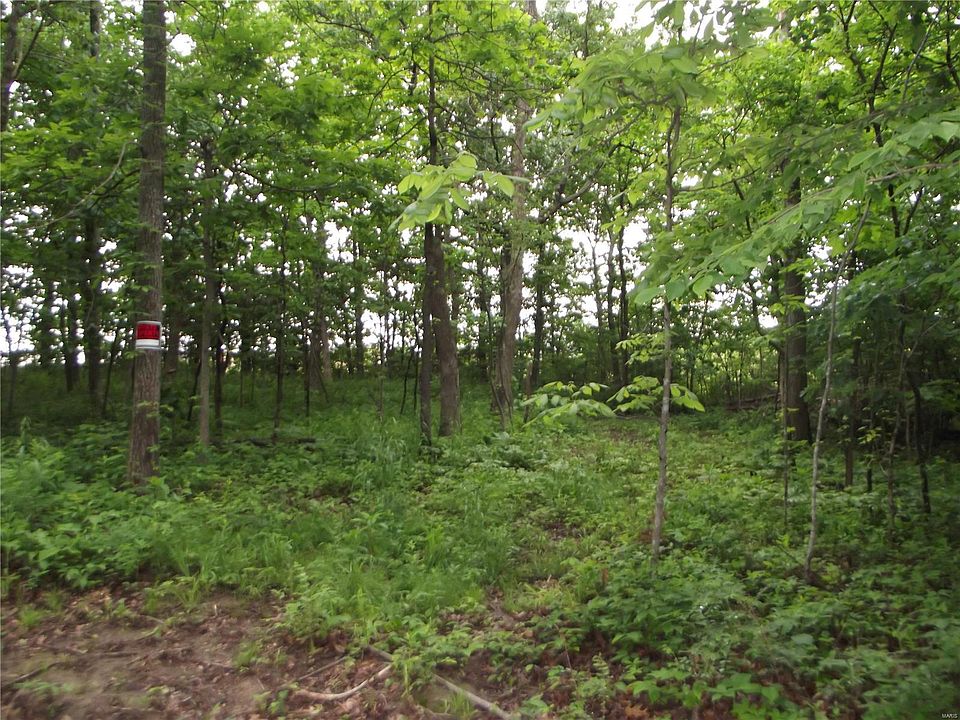 1st image of 38 Maple Creek Pl