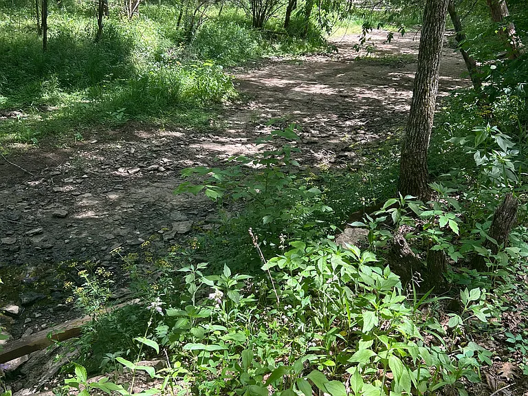 9920 Stewarts Ferry Pike #B — Photo 9