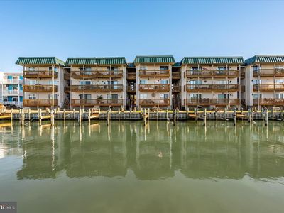 2811 Plover Dr Unit 305, Ocean City, MD, 21842