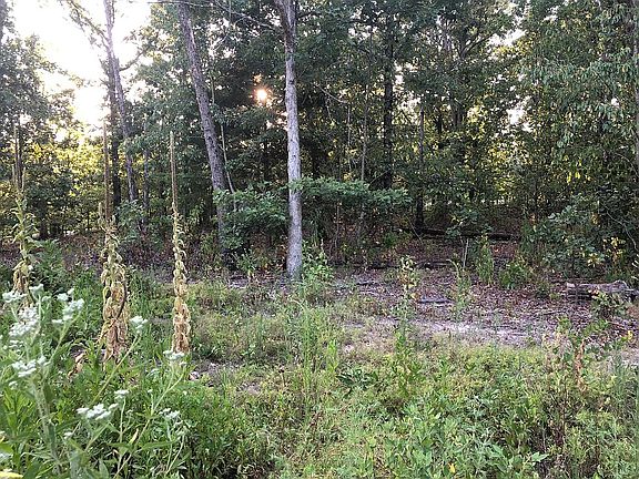2nd image of Tummell Dr