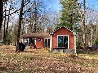163 Cottage Ln, Norwich, NY 13815