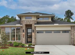 119 Harlequin Duck Ct, Magnolia, TX 77354