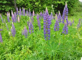 0 Huron Ave, Cornucopia, WI 54827