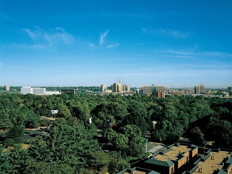 Lush woodland views with nearby Fairfax cityscape
