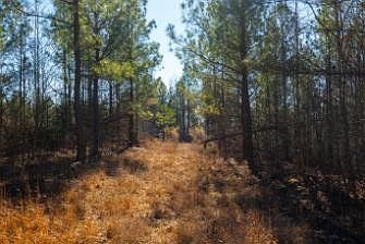 5th image of 0 White Oak Rd Lot 29