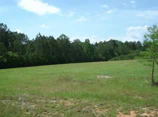 431 N Hill Dr, Carriere, MS 39426