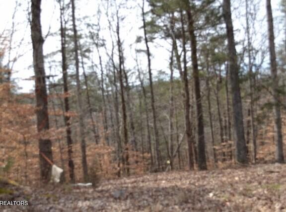 3rd image of 87/- Boles Rd