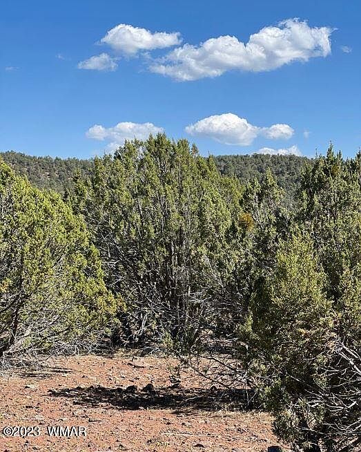 2nd image of 13B County Road 3317