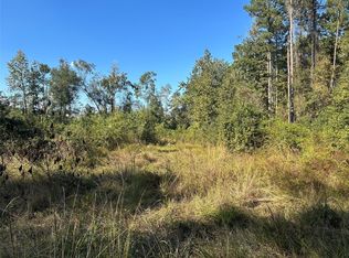 16 County Road 2235 LOT 16, Cleveland, TX 77327