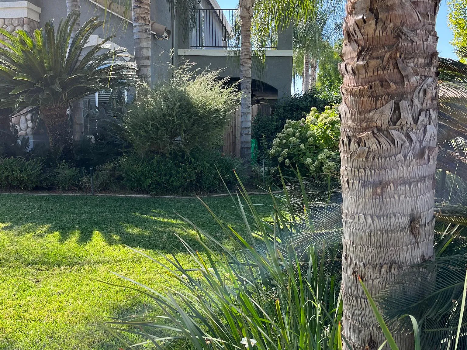 N Jackie St, Visalia — Photo 2
