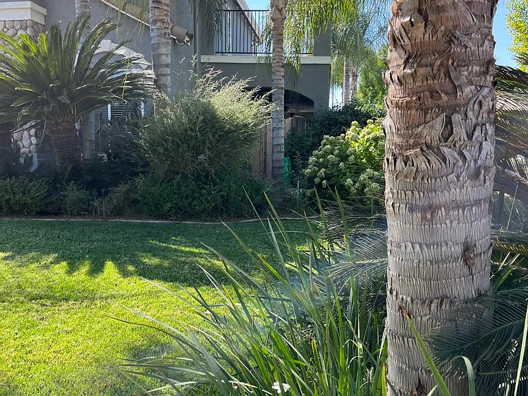 N Jackie St — Photo 2