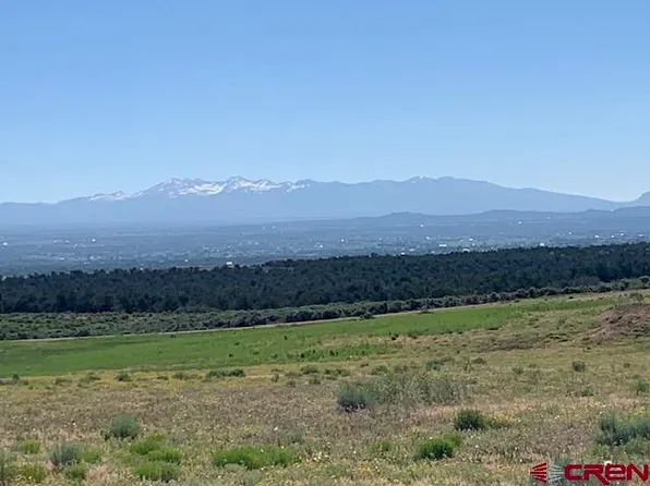 Lot 12 Road 17.9, Cortez, CO 81321