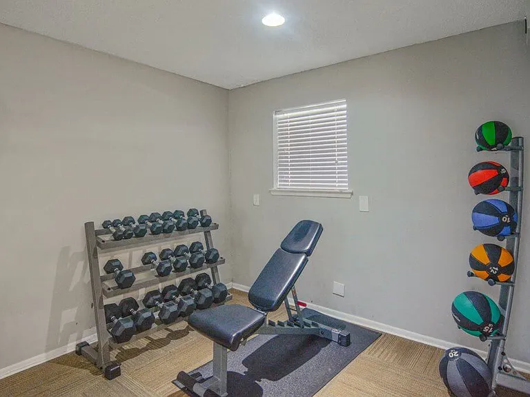 Free Weights & Medicine Balls