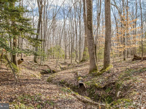 0 Dreamland Rd #B, Jeffersonton, VA 22724