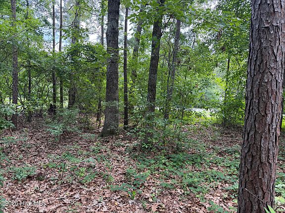 4th image of 118 Ferret Run Ln Lot 66