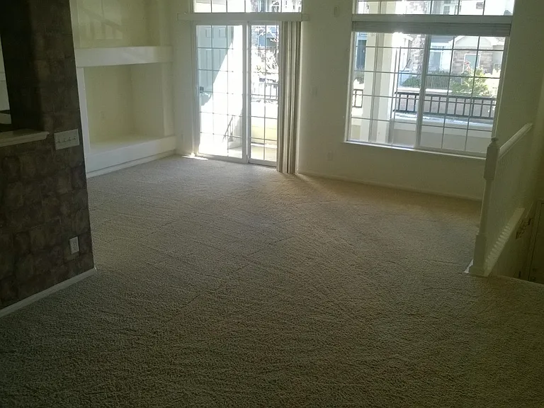 474 Black Feather Loop #413 — Photo 5