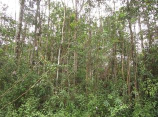 Hilo Rd LOT 722, Pahoa, HI 96778