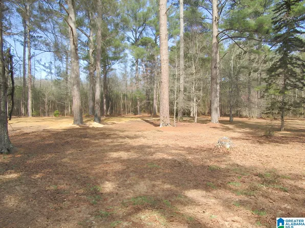 4429 Roy Webb Rd #Na, Jacksonville, AL 36265