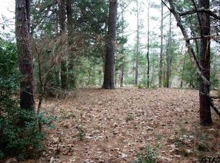 Lots 17 18 19 Centennial Pkwy, Tyler, TX 75703