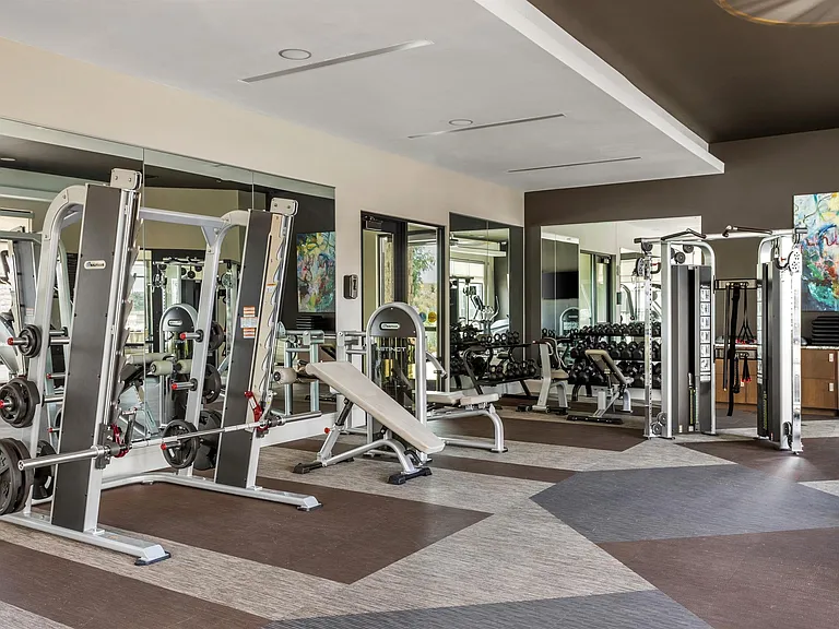 Strength Training Gym with Free Weights and Benches