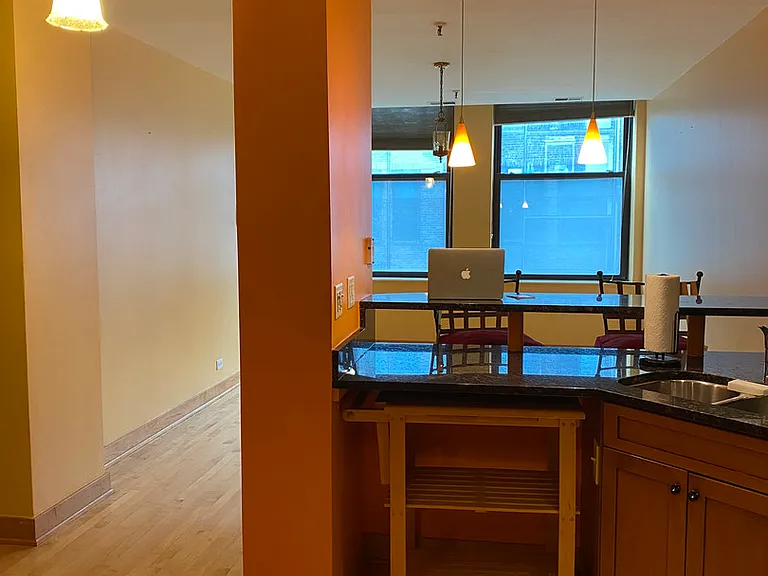 740 S Federal St #1105 — Photo 5