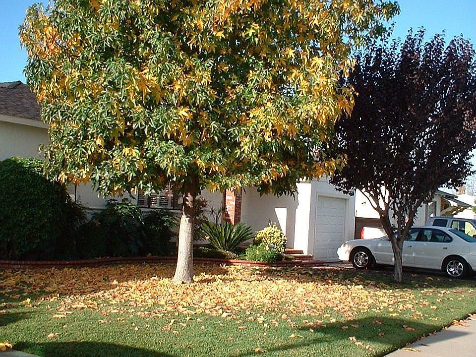 2nd image of 8208 Quoit St